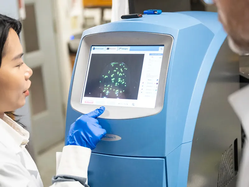 Graduate student Emmy Nguyen works at a lab monitor in Carnegie Mellon University’s Bridges Lab. The team’s research uncovers a way to alter bacterial behavior, offering a potential new strategy to combat antibiotic resistance.